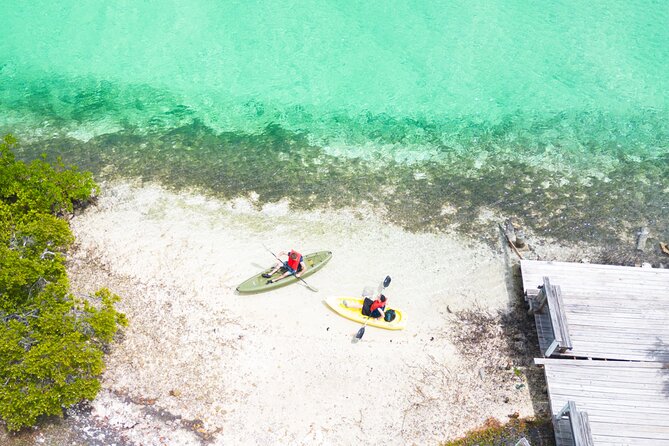 Clear kayak Grand Turk Island Kayak Tour of the mangroves - What the guides add to the experience