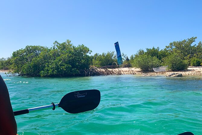 Clear kayak Grand Turk Island Kayak Tour of the mangroves - Communication is the key practical concern