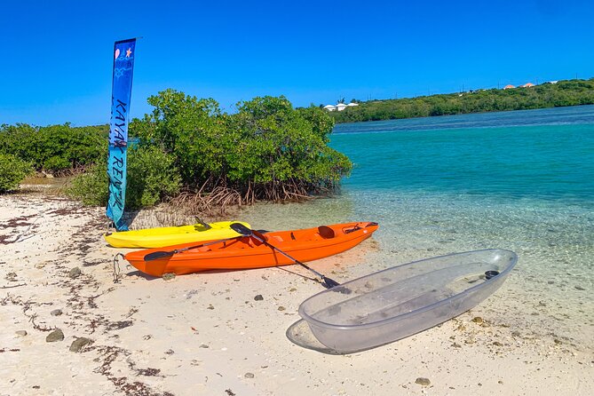 Clear kayak Grand Turk Island Kayak Tour of the mangroves - Who will enjoy this Grand Turk kayak trip