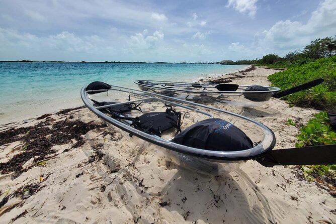 Clear Kayak Mangrove Eco Tour - Key points at a glance