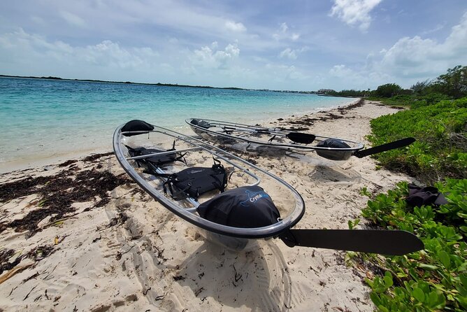 Clear Kayak Mangrove Eco Tour - Why the clear kayak changes the experience