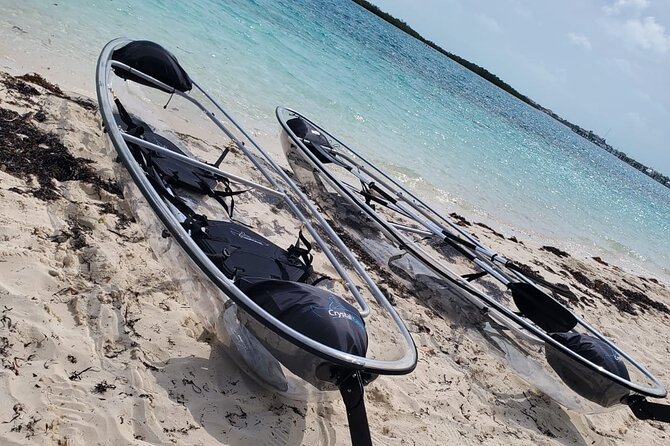 Clear Kayak Mangrove Eco Tour - Guide quality matters here