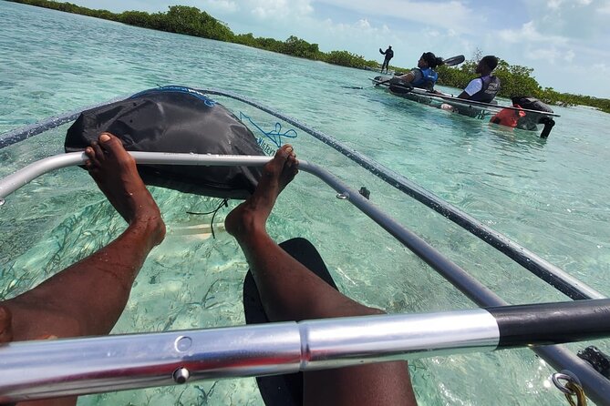 Clear Kayak Mangrove Eco Tour - Is $240 a fair price?