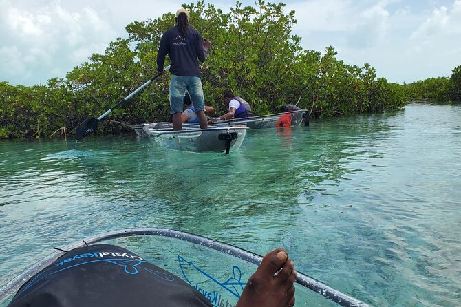 Clear Kayak Mangrove Eco Tour - Group size, timing, and pickup