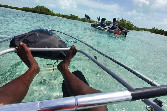 Clear Kayak Mangrove Eco Tour - Weather and equipment concerns