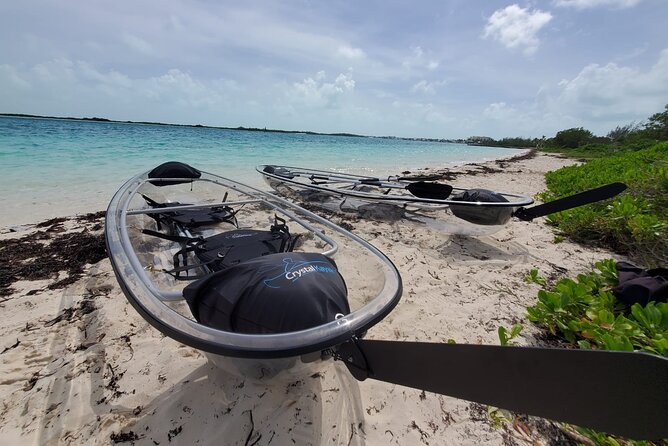 Clear Kayak Mangrove Eco Tour - Who will enjoy this mangrove tour most?