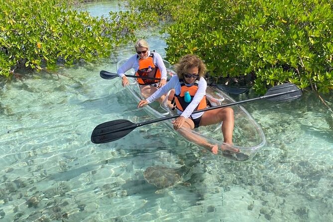 Clear Kayak Tour in Turks & Caicos Islands - Key points to know before you paddle
