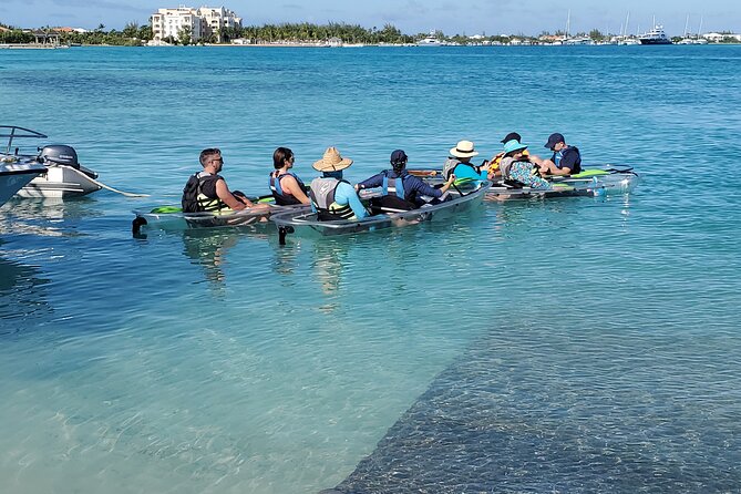 Clear Kayak Tour in Turks & Caicos Islands - Who will enjoy this tour most