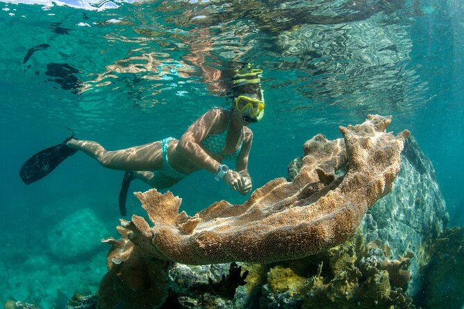Deluxe Half-Day Snorkel Sail on Lady Grace Luxury Catamaran - Lunch and the open bar after snorkeling