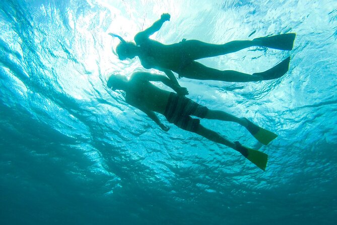 Deluxe Half-Day Snorkel Sail on Lady Grace Luxury Catamaran - Who will enjoy Lady Grace most?