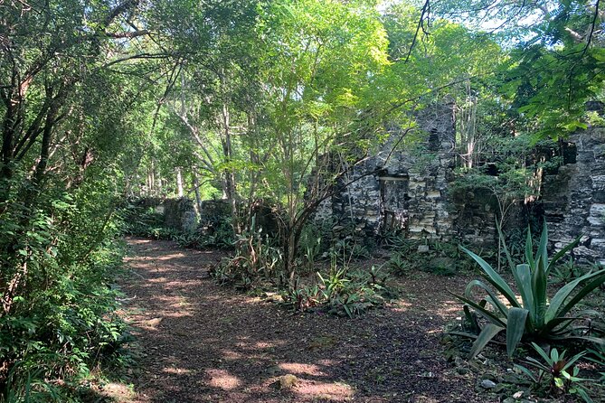 Discovery Tour and Treasure Hunt ( North and Middle Caicos) - Wade’s Green Plantation and the changing itinerary