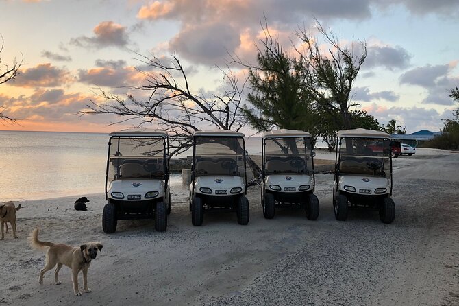 Drive GDT - Golf Cart Rentals - Fuel, cleaning, and what the price really includes