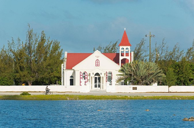 Exclusive Grand Turk Island Tour - The free-roaming animals are the real signature