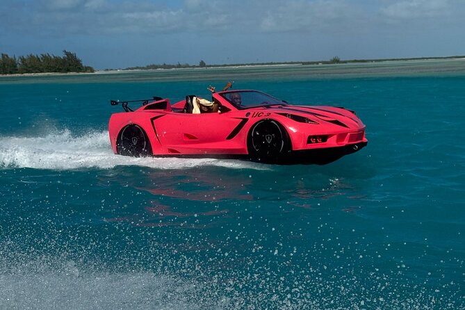 Explore Shipwreck and Hidden Island Beaches in 1-Hour Jetcar Tour - Practical advice before you book