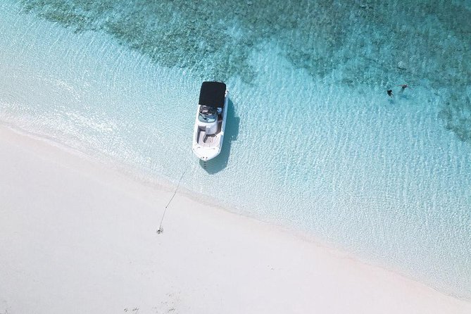 Full day 7hours- beach bbq, snorkel, Iguana island, half moon bay pine cay, Fun! - Grace Bay, dolphins, and the open-water moments