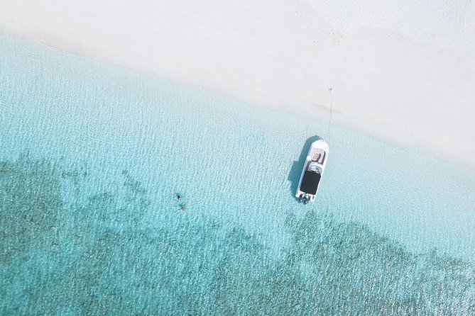 Full day 7hours- beach bbq, snorkel, Iguana island, half moon bay pine cay, Fun! - Why the crew matters on a private boat