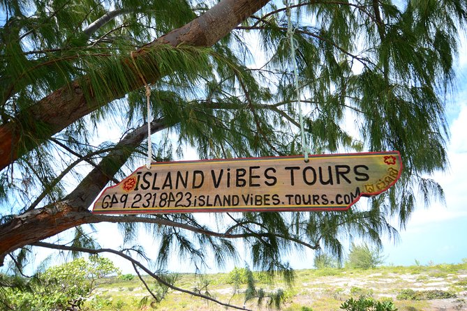 Full Day Beach BBQ Lunch & Snorkeling Excursion in Grace Bay - Starting at Bight Park and heading offshore