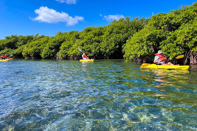 Full Day Clear Kayak Rental Grand Turk - What the Grand Turk Clear Kayak Rental Is Really Like