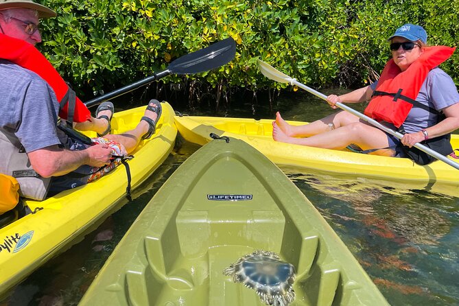 Full Day Clear Kayak Rental Grand Turk - Mangroves Require Extra Planning
