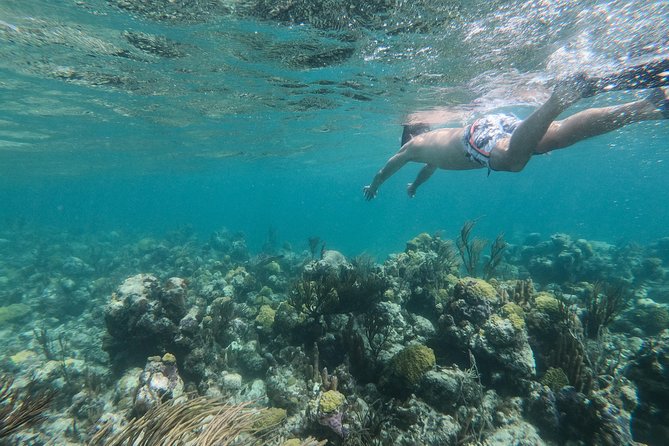 Full Day Cruise from Providenciales with Snorkeling and BBQ Lunch - Iguana Island and the native Rock Iguanas