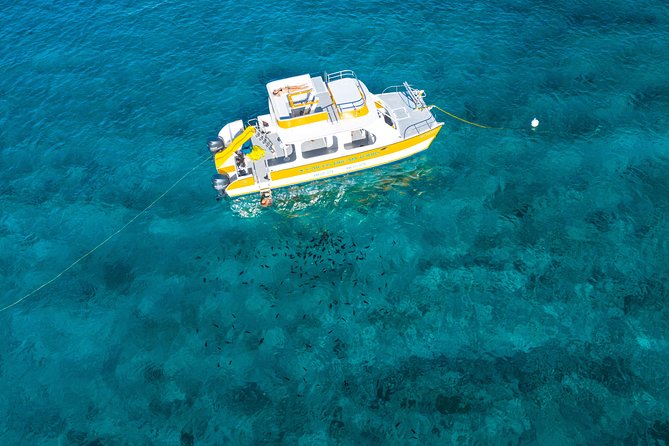 Full Day Private Boat Charter at Grace Bay, Providenciales - The crew and the private-tour advantage