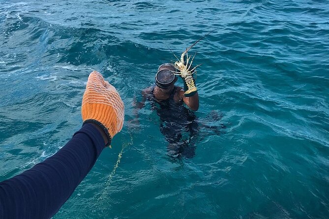 Full-Day Private Cruise in Turks and Caicos with Lunch - Fort George Cay, sand dollars, and a beach barbecue
