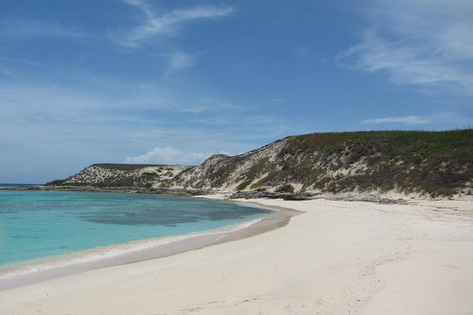 Gibbs Cay Stingray and Conch Dive Adventure - Key points to know before booking