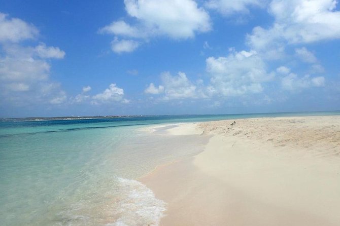 Gibbs Cay Stingray and Conch Dive Adventure - Fresh conch ceviche on the sand