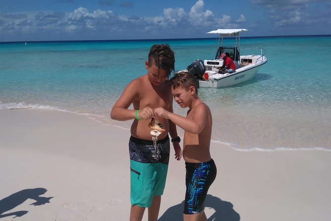 Gibbs Cay Stingray and Conch Dive Adventure - Price, timing, and practical value