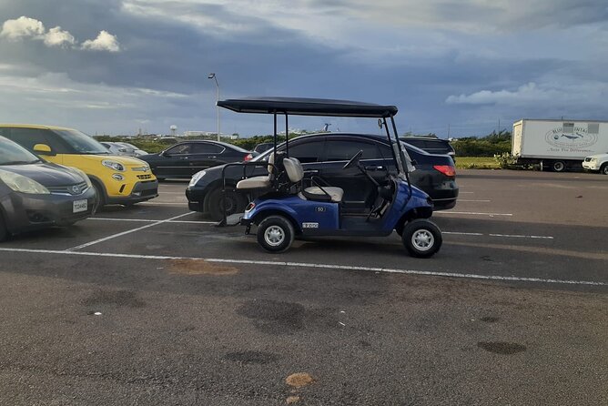 Golf Cart Adventure MaxKart Auto Rentals - Cart Condition: The Question You Must Ask