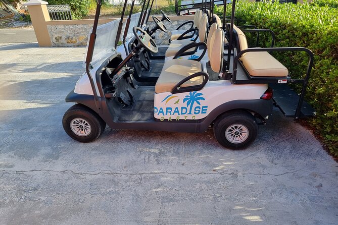 Golf Cart Rental in Grand Turk (4-seater) - What You Are Actually Renting