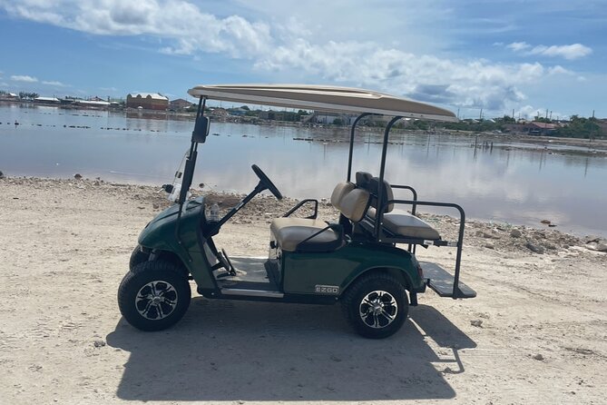 Grand Turk Golf Cart Rentals (CACTUS CARTS) - Finding Cactus Carts outside the cruise gate
