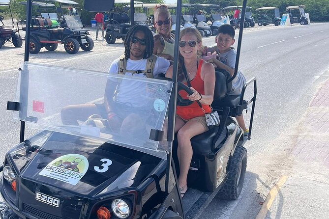 Grand Turk Golf Cart Rentals (CACTUS CARTS) - Who should book Cactus Carts?