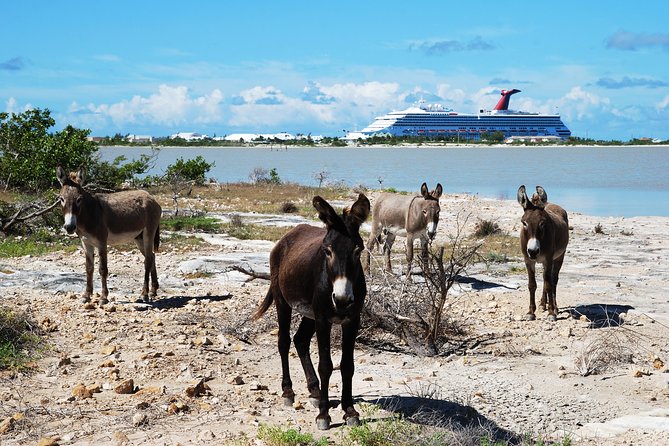 Grand Turk Historical Sightseeing Tour by Tram - Key points to know before you book