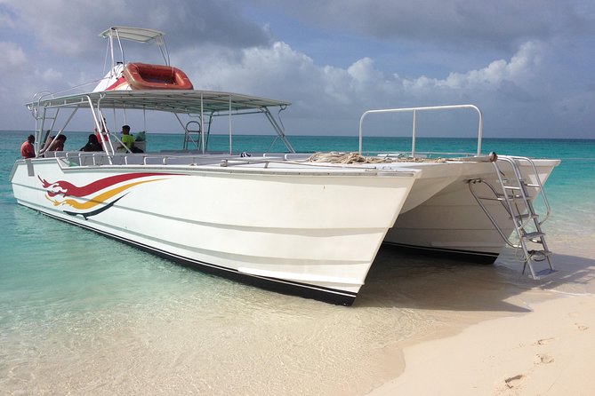 Grand Turk: Whale Watching - The three-and-a-half-hour search