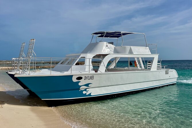 Grand Turk: Whale Watching - Who will enjoy this trip most
