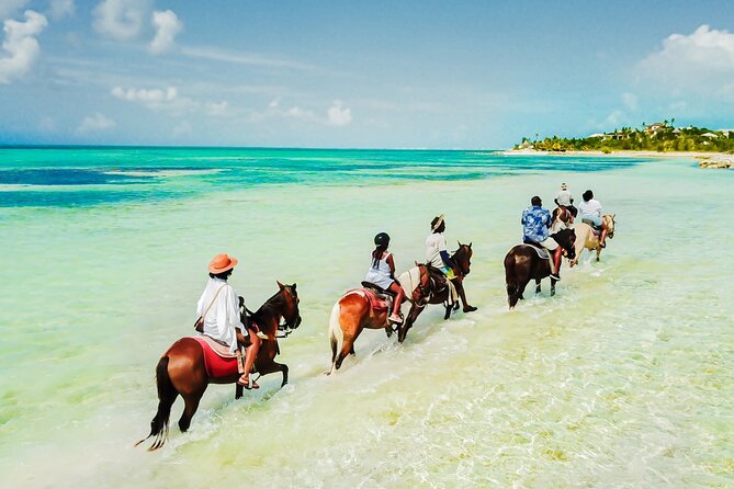 Group Beach and Ocean Horseback Adventure in Providenciales - Key points to know before booking