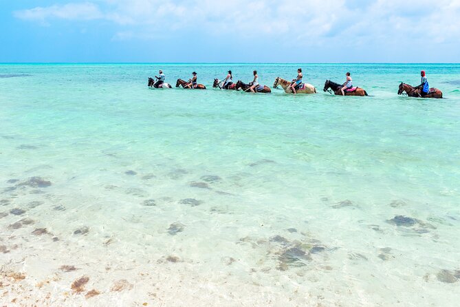 Group Beach and Ocean Horseback Adventure in Providenciales - A one-hour ride built around the surf