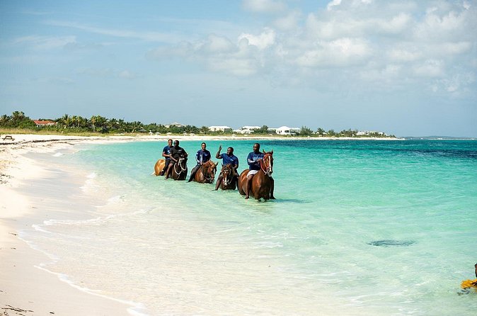 Group Beach and Ocean Horseback Adventure in Providenciales - Entering the clear water with your horse