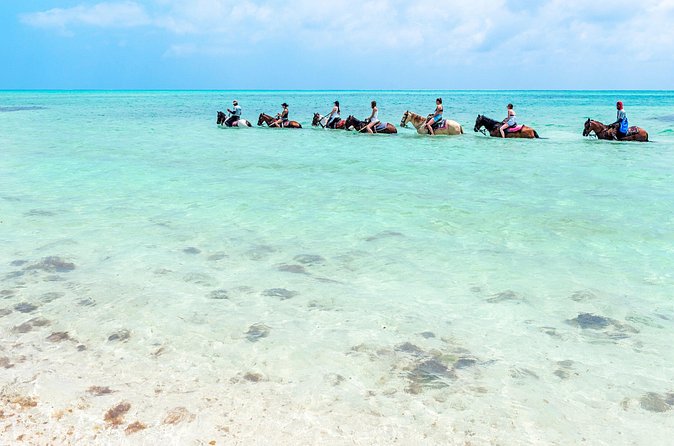 Group Beach and Ocean Horseback Adventure in Providenciales - Guides, safety, and the small extras