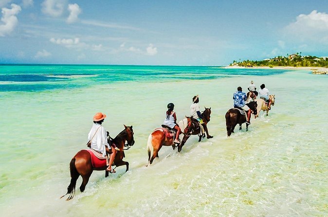 Group Beach and Ocean Horseback Adventure in Providenciales - Is $254 a fair price?
