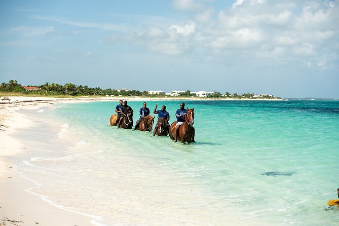 Group Beach and Ocean Horseback Adventure in Providenciales - Who will enjoy this most?