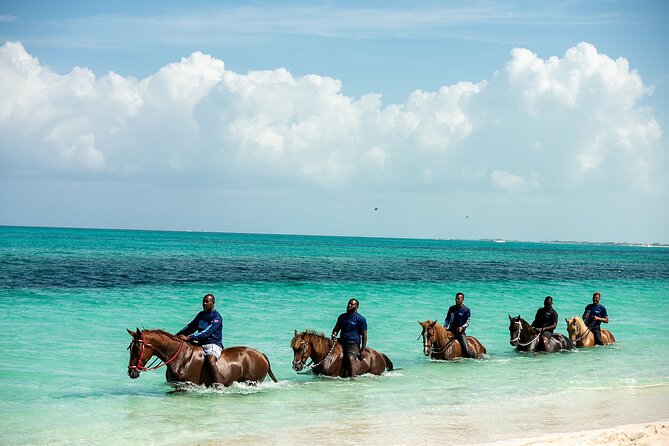 Group Beach and Ocean Horseback Adventure in Providenciales - What to bring and how to prepare