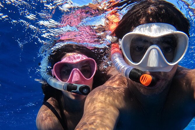 Group Catamaran 4 hr tour coral reef fun Iguana island adventure! - The crew can make or break the day