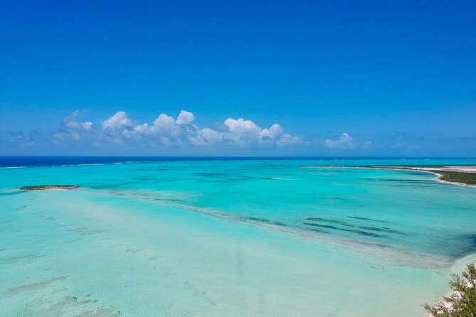 Group Catamaran 4 hr tour coral reef fun Iguana island adventure! - Is $160 a fair price?