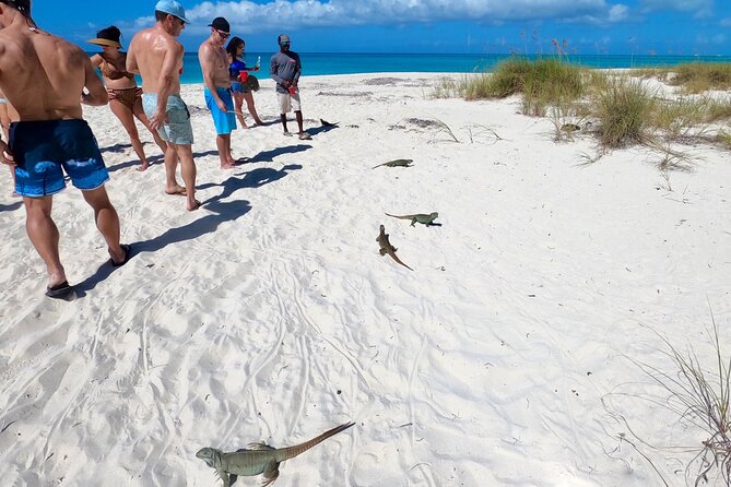 Group Reef, Beach and Sandbar Tour from Providenciales - Half Moon Bay and Iguana Island