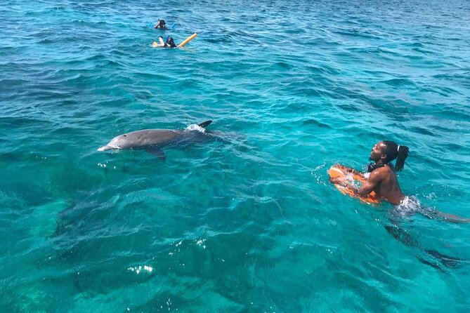 Group Reef, Beach and Sandbar Tour from Providenciales - Sandwiches, fruit, and a boat ride home