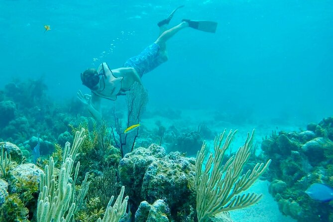 Group Reef, Beach and Sandbar Tour from Providenciales - Weather, wildlife, and other limits