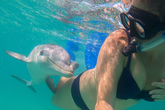 Group Reef, Beach and Sandbar Tour from Providenciales - Who will get the most from this excursion