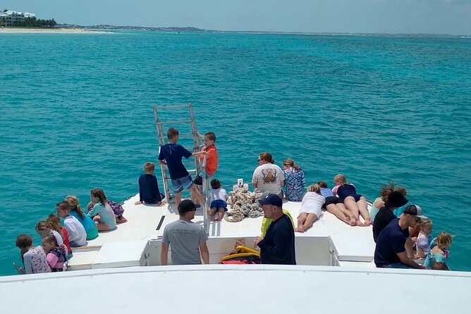 Group Reef, Beach and Sandbar Tour from Providenciales - Reef snorkeling: worthwhile, but not guaranteed
